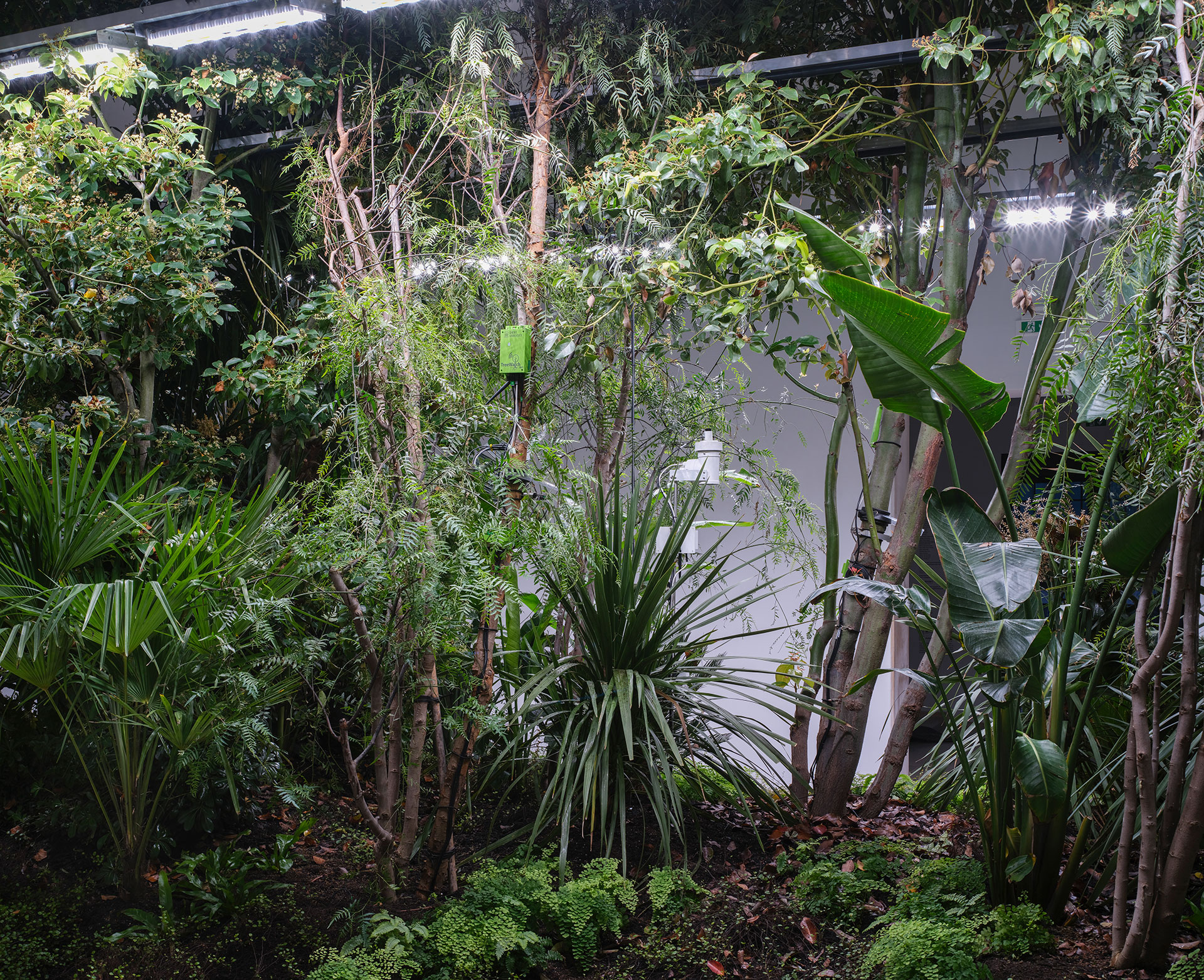 Building Biospheres by Bureau Bas Smets with Stefano Mancuso, Flanders Architecture Institute 2025 © Michiel De Cleene